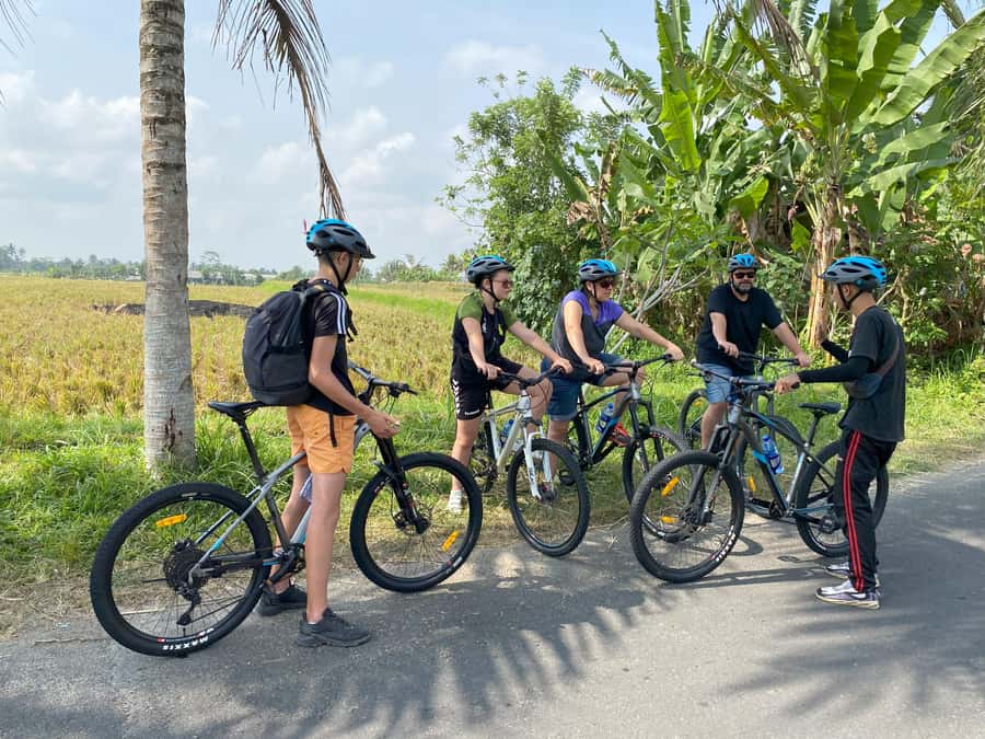 Ubud : PRIVATE Bike Tour inside Rice Field Ubud Countryside - Who Will Enjoy This Tour Most?