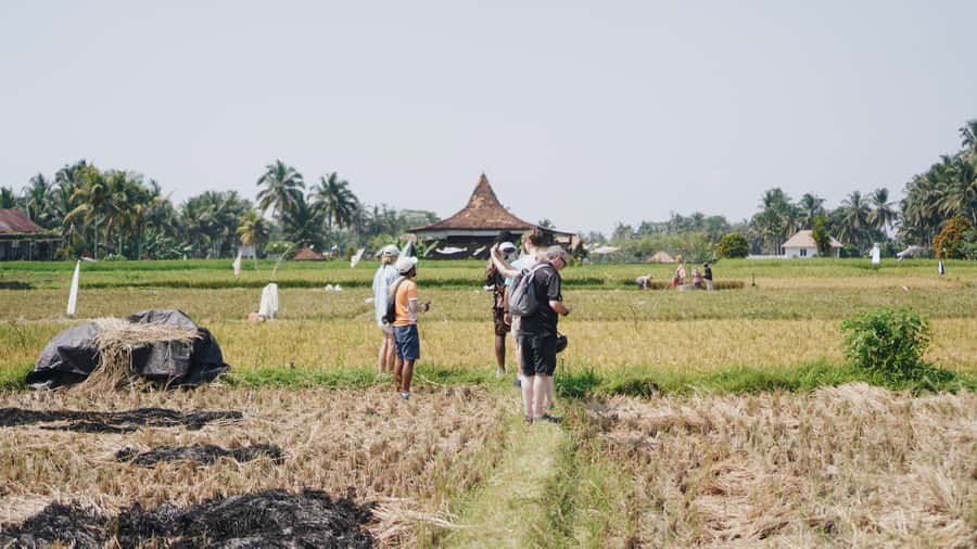 Ubud: Rice Terraces & Villages Half-Day Fat Tire E-Bike Tour - Pickup from Ubud and the ride to the starting point