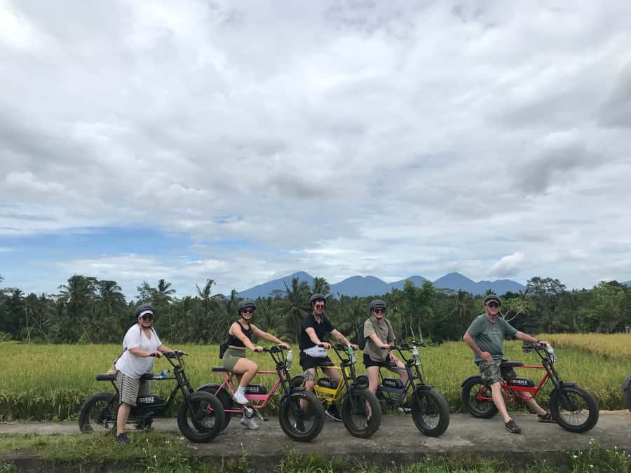 Ubud: Rice Terraces & Villages Half-Day Fat Tire E-Bike Tour - Jalan Cinta and the working rice fields