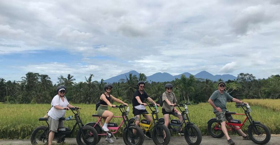 Ubud: Rice Terraces & Villages Half-Day Fat Tire E-Bike Tour - Tegalalang village and Balinese home life