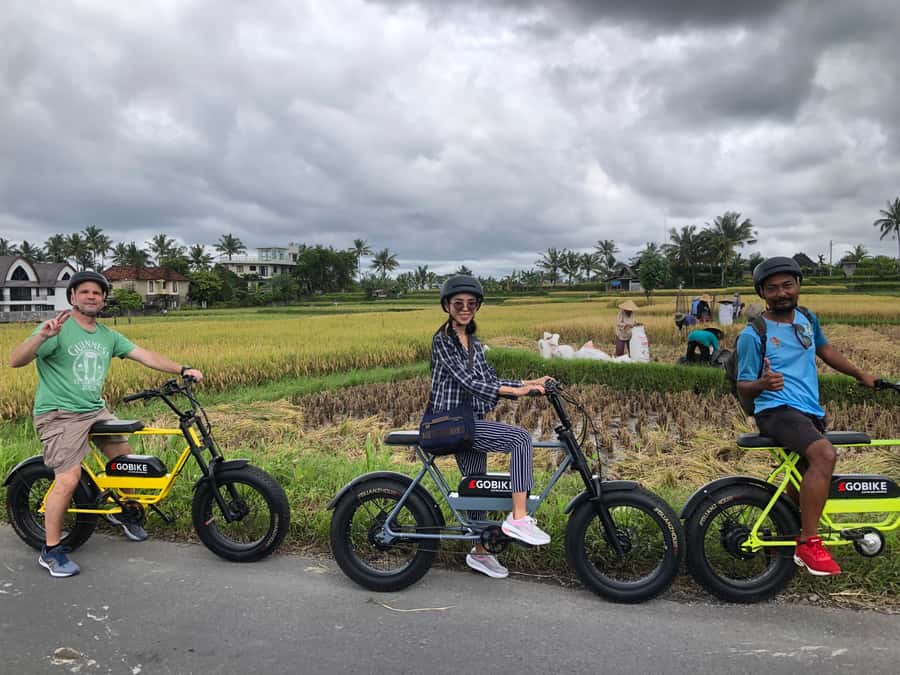 Ubud: Rice Terraces & Villages Half-Day Fat Tire E-Bike Tour - Temples, irrigation, and the Cekingan Terrace
