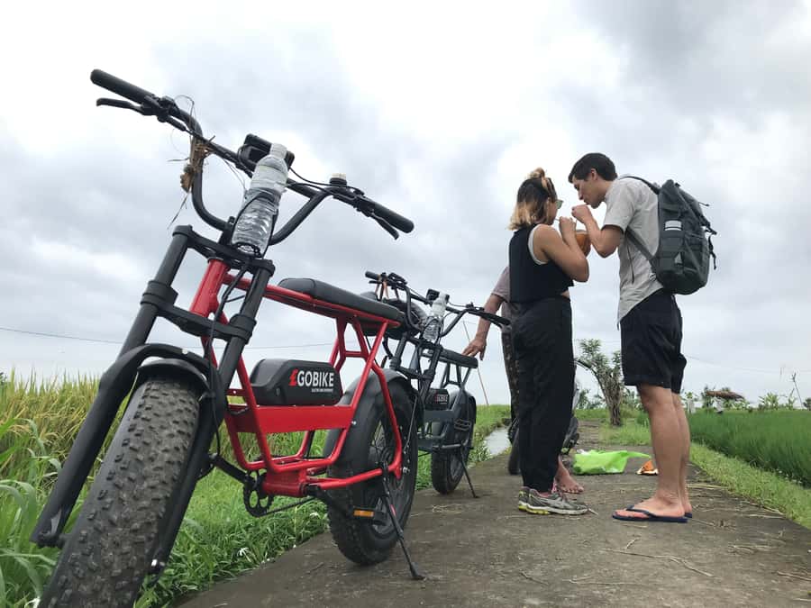 Ubud: Rice Terraces & Villages Half-Day Fat Tire E-Bike Tour - Local food at the end of the ride