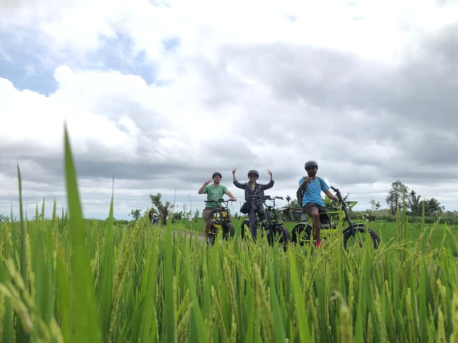 Ubud: Rice Terraces & Villages Half-Day Fat Tire E-Bike Tour - What the guides add to the day