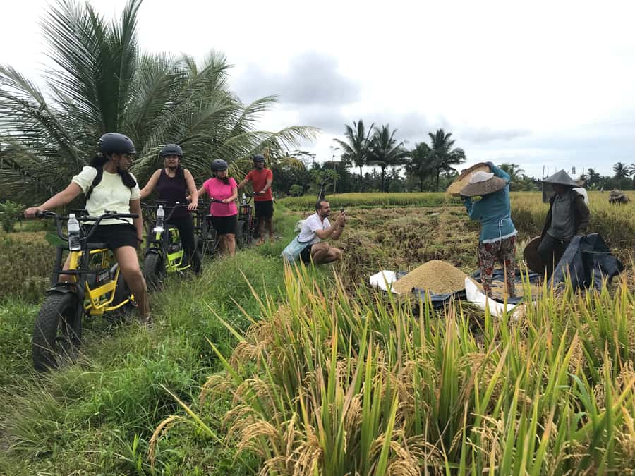 Ubud: Rice Terraces & Villages Half-Day Fat Tire E-Bike Tour - Getting comfortable on the fat-tire e-bike