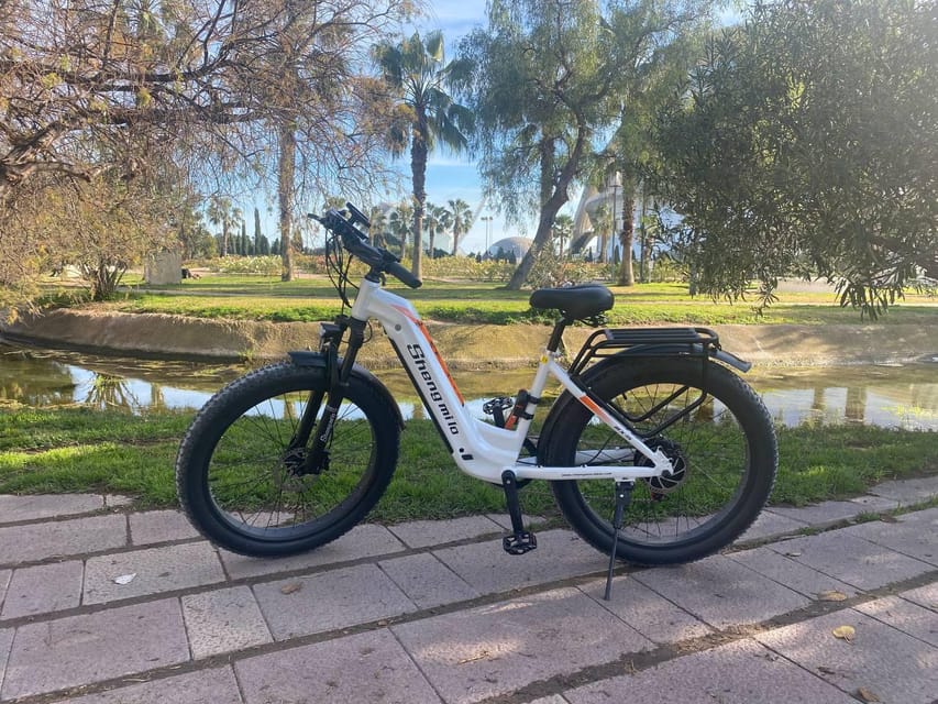 Valencia: Top 25 Highlights Guided Bike Tour - Turia Gardens, Valencia’s former riverbed