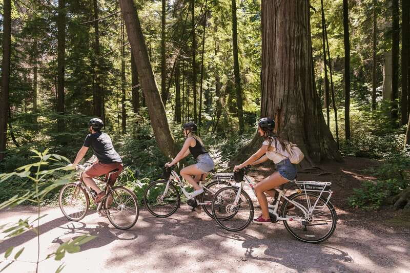 Vancouver: Half-Day City Highlights E-Bike Tour Age 16+ - Key points at a glance