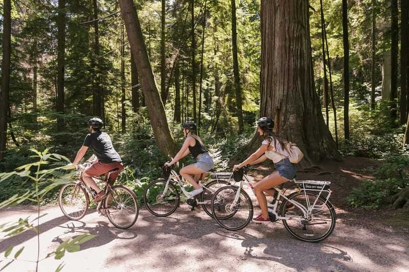 Vancouver: Half-Day City Highlights E-Bike Tour Age 16+ - From the forest to False Creek