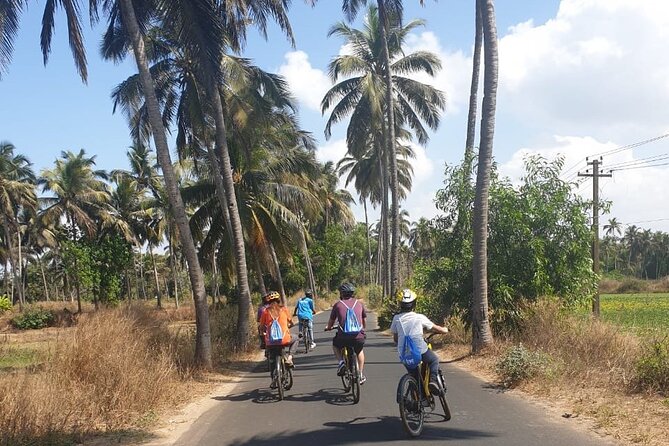 Varca Coastal E-Bike Tour: Scenic Beachside Adventure - Leaving Varca for the paddy fields