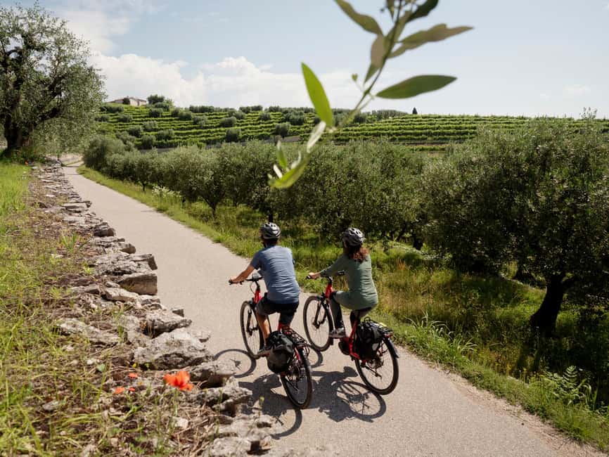 Verona: Valpolicella Wine Self-Guided E-Bike Tour & Tastings - Making room for lunch