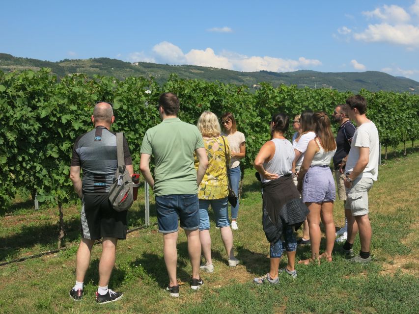 Verona: Valpolicella Wine Self-Guided E-Bike Tour & Tastings - The ride back to Verona