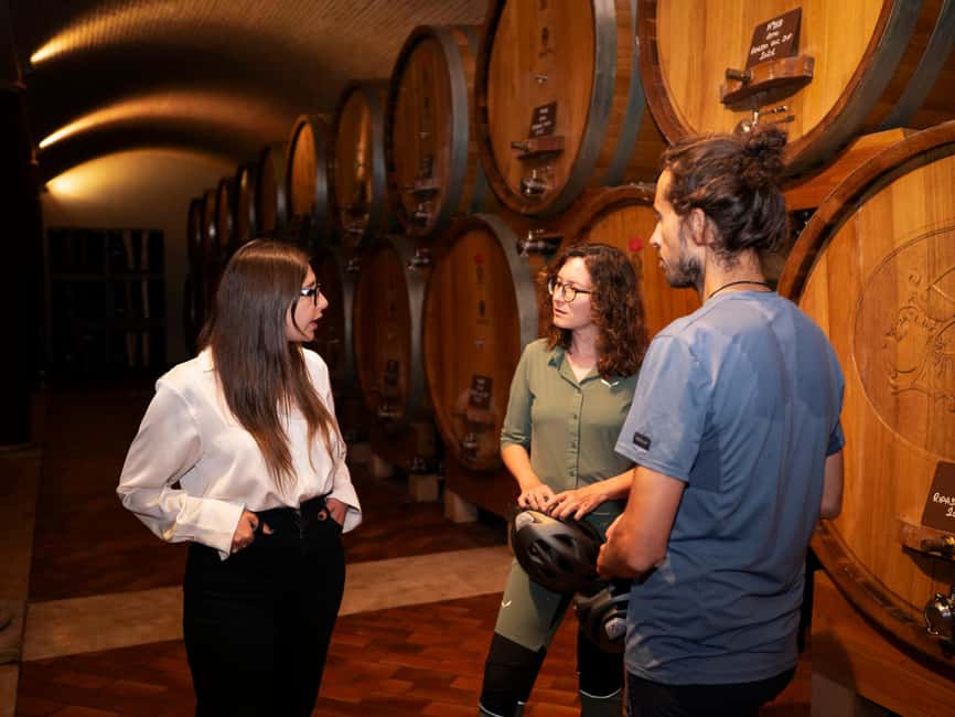 Verona: Valpolicella Wine Self-Guided E-Bike Tour & Tastings - What the $105 price includes