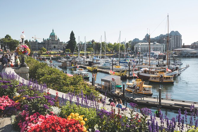 Victoria City Highlights Pedal or E-Bike Tour - Hoods & Legends - Fernwood brings a local neighborhood feel