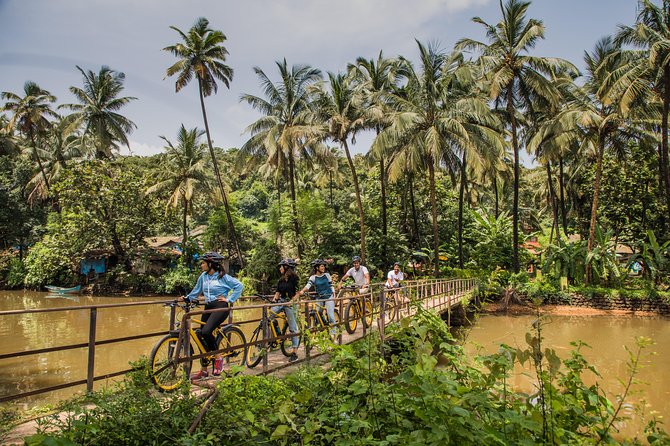 Village Vibes: Cansaulim Coastal E-Bike & Japanese Tea Tour - Is the $33 Price Good Value?