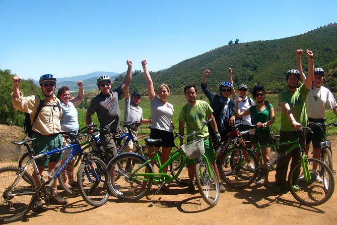 Vine and Dine Bicycle Wine Tour with Lunch - Should you book the Vine and Dine Bicycle Wine Tour?