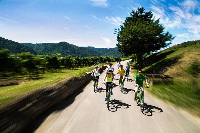 Wachau Valley Wine Tasting Bike Tour from Vienna - Weissenkirchen and the final ride