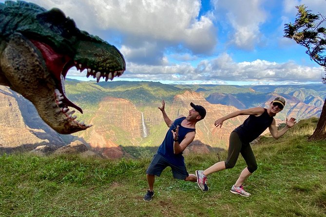 Waimea Canyon Downhill Bike Ride - What you see from the saddle