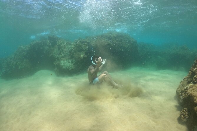 Water Bike Tour in South Maui - Key points to know before you pedal out
