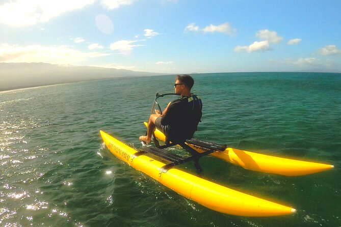 Water Bike Tour in South Maui - Hawaiian words, island stories, and sea life