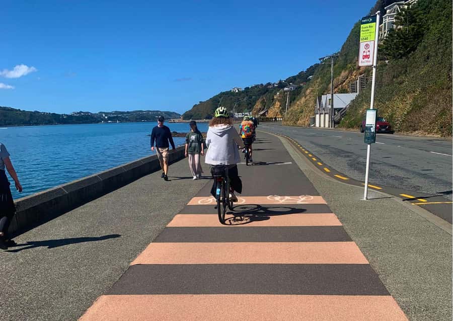 Wellington Electric Bike Rental - Reaching Mt Victoria for the city view