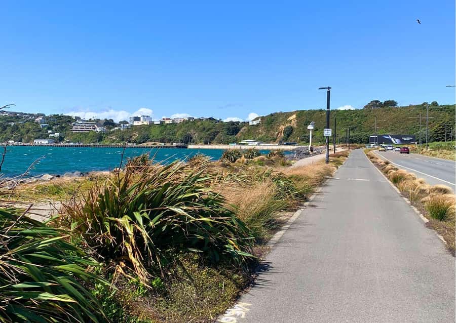Wellington Electric Bike Rental - Weta Workshop and Wellington’s creative side