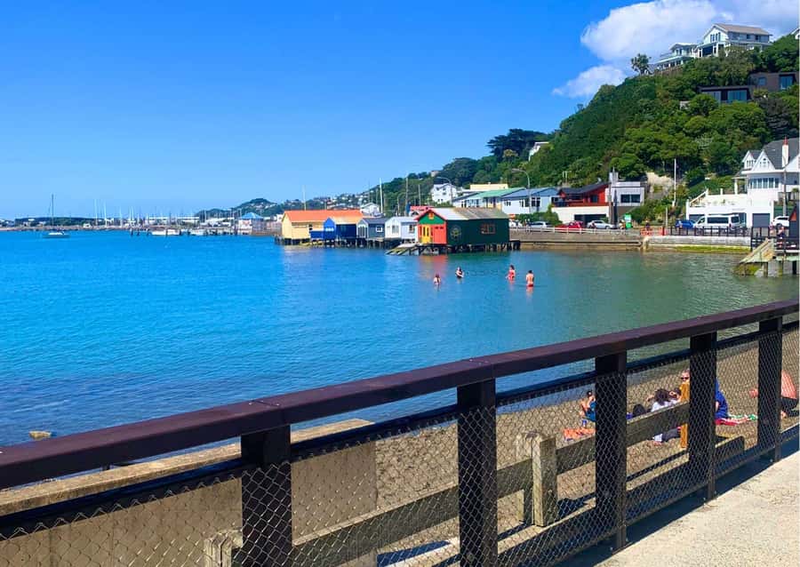 Wellington Electric Bike Rental - Pencarrow Lighthouse by ferry and coastal road
