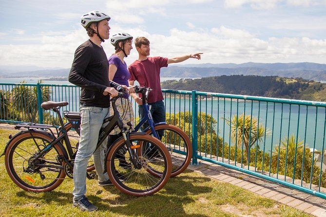Wellington Guided eBike Tour-Cruise Shore Excursion - Why an e-bike is the right way to see Wellington