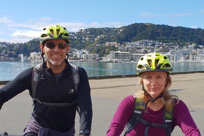 Wellington Guided eBike Tour-Cruise Shore Excursion - Oriental Bay, the Zephyrometer, and a harbour café