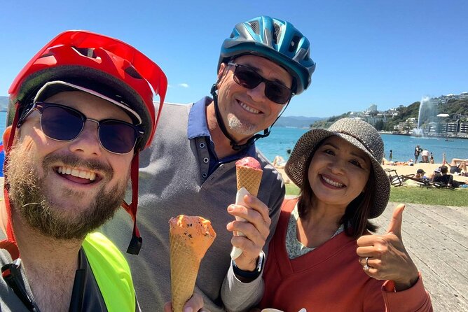 Wellington Guided eBike Tour-Cruise Shore Excursion - Meeting the group near the cruise port