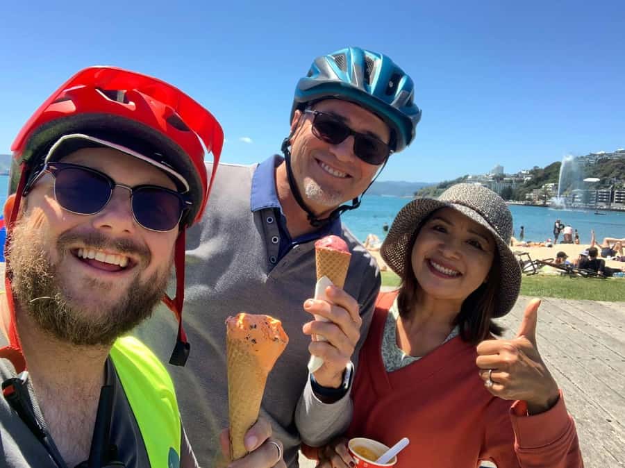 Wellington: Guided Sightseeing Tour by Electric Bike - Why an e-bike is a smart way to see Wellington