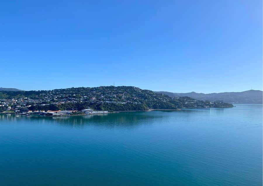 Wellington: Guided Sightseeing Tour by Electric Bike - The lookout and the final return