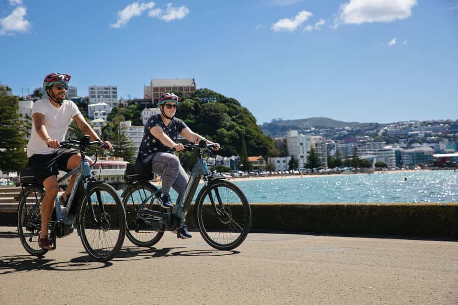 Wellington: Guided Sightseeing Tour by Electric Bike - What the $116 price really buys you
