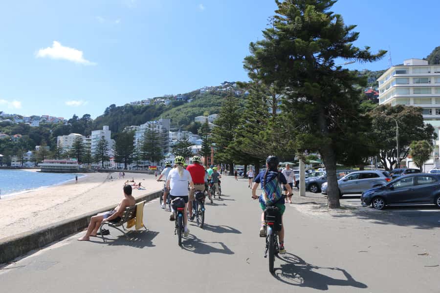Wellington: Guided Sightseeing Tour by Electric Bike - Should you book the Wellington e-bike tour?