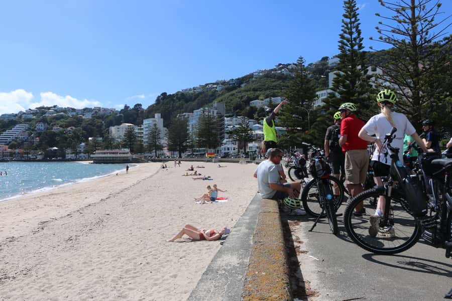 Wellington: Guided Sightseeing Tour by Electric Bike - Starting at Switched on Bikes