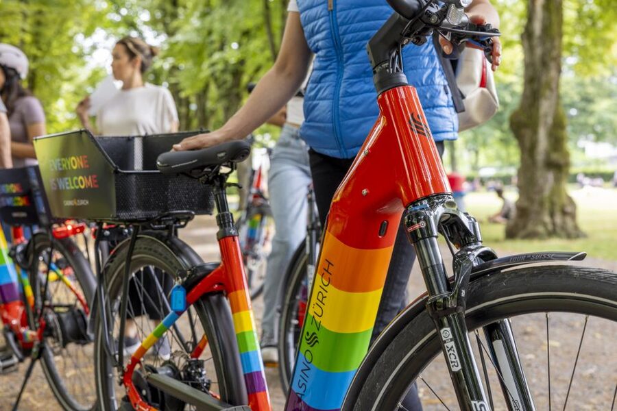 Zurich: E-Bike City Tour - Key points at a glance